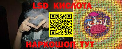 стафф Донецк