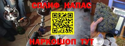 стафф Донецк