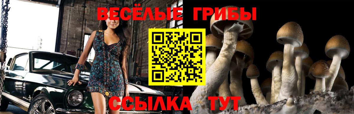 Псилоцибиновые грибы ЛСД  Галлюциногенные грибы Psilocybe  Трёхгорный  Вход с VPN 